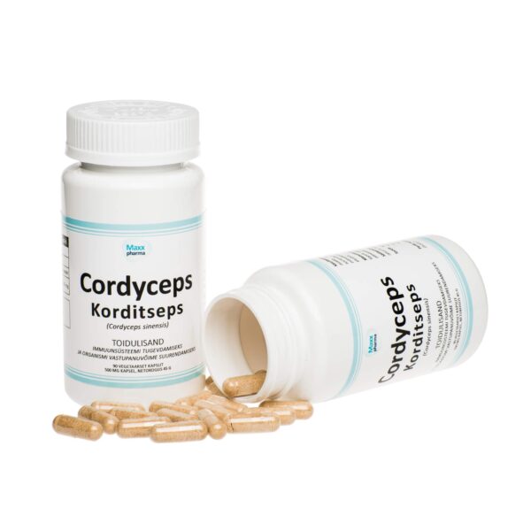 Cordyceps | Maxx Pharma